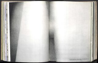 Fictions, in vivo