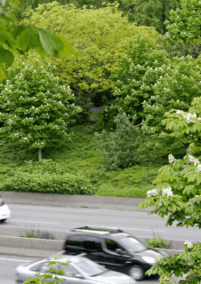 ENQUÊTE ETHNOGRAPHIQUE DANS LES TERRAINS DÉLAISSÉS